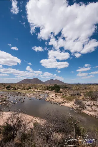 Photo safari visiting western Tanzania Ruaha National Park