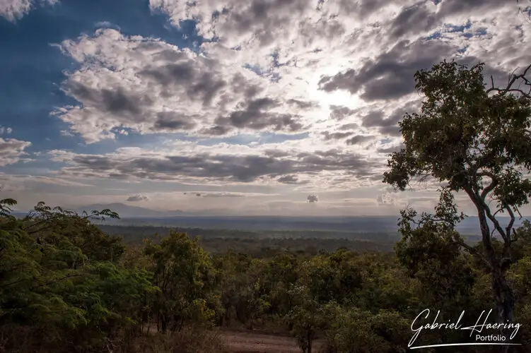 Private Photo safari Mikumi national park