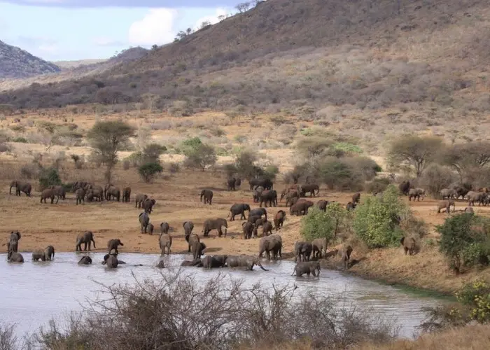 Visit Mkomazi NP Tanzania