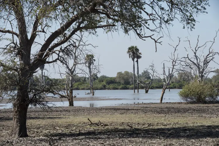 Visit Nyerere (former Selous)