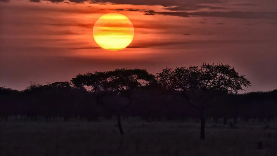 Photographic safari great migration serengeti