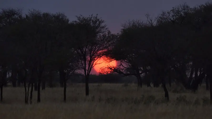 Photographic safari great migration serengeti